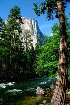 El Capitan, Yosemite National Park Stock Photos El Capitan, Yosemite National Park Stock Photos