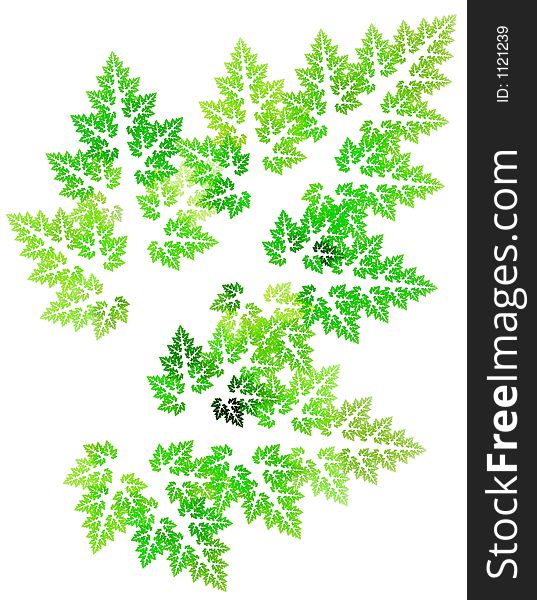 Illustration isolated of detailed leaf