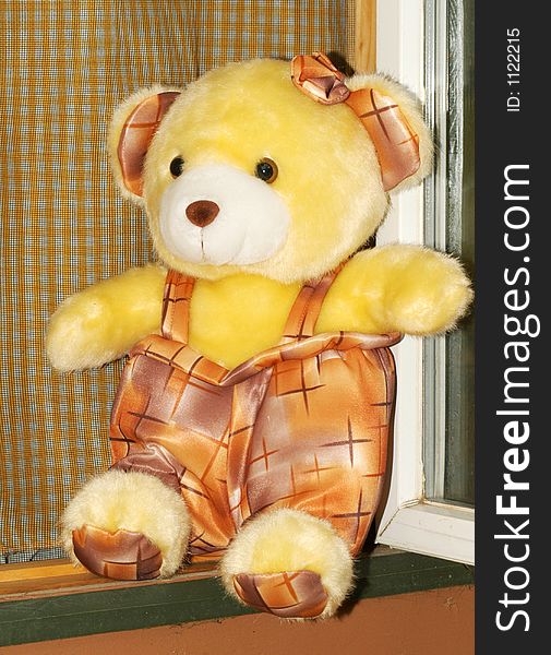 golden teddy bear Sit in the window