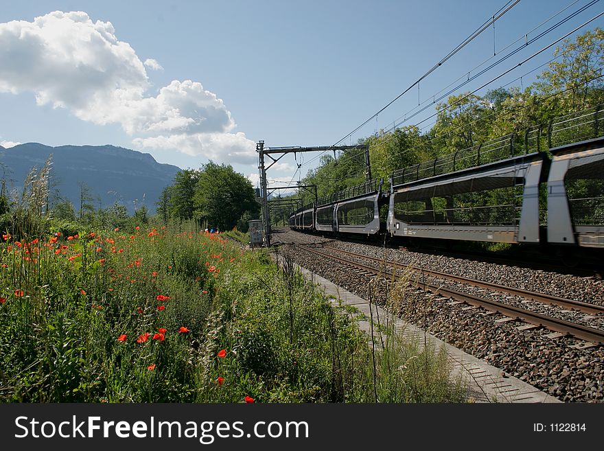 Goods train in the countryside