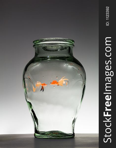 Two goldfish in a vase. Two goldfish in a vase.