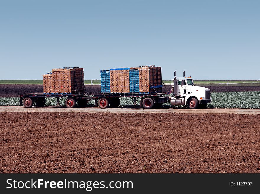 Hauling the harvest to market. Hauling the harvest to market