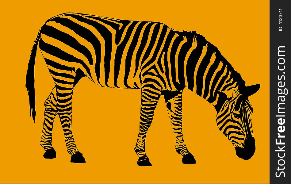 A hand drawn image of a Zebra with its head down on an orange background
