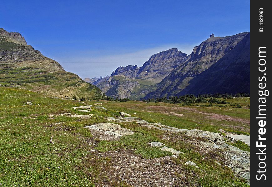 This image of the ledges, meadow, alpine fir and mountains in the background was taken in Glacier National Park. This image of the ledges, meadow, alpine fir and mountains in the background was taken in Glacier National Park.