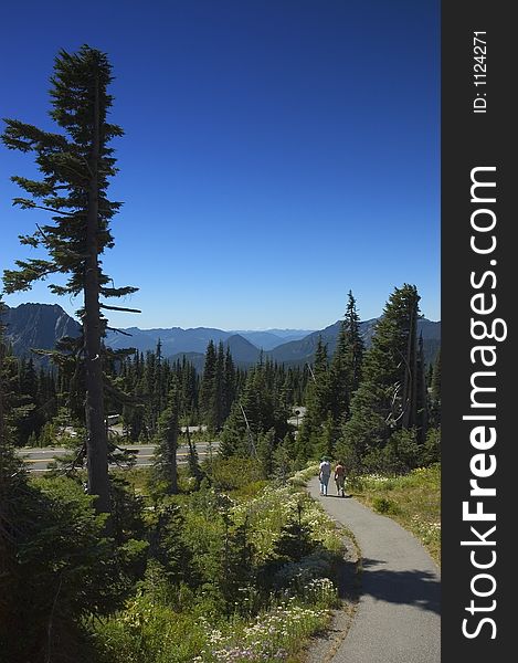 People walking along trail in mt. rainier national park, washington state, taken with Nikon d-100, 300 dpi. People walking along trail in mt. rainier national park, washington state, taken with Nikon d-100, 300 dpi