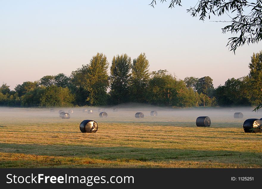 Misty morning field with bales of hay after the harvest. Misty morning field with bales of hay after the harvest