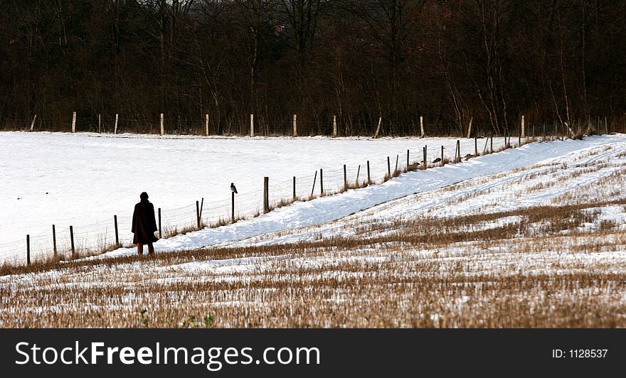 Waling in the landscape   in  winter. Waling in the landscape   in  winter