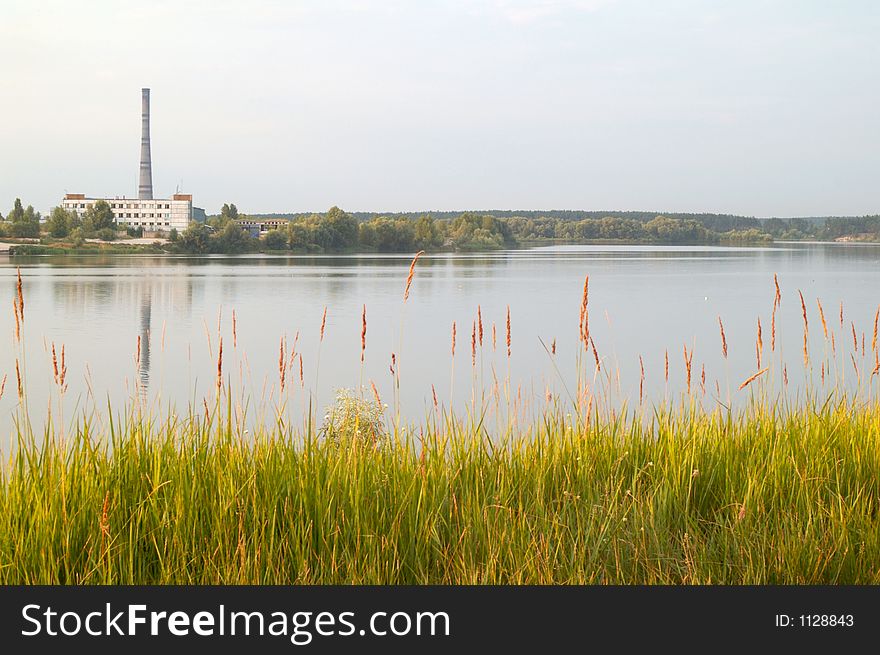 River shore, callow, with plant on background. River shore, callow, with plant on background