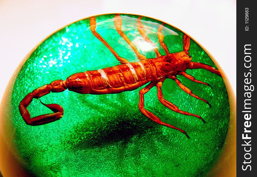 A poisonous red / orange scorpion trapped in a green dome. A poisonous red / orange scorpion trapped in a green dome.