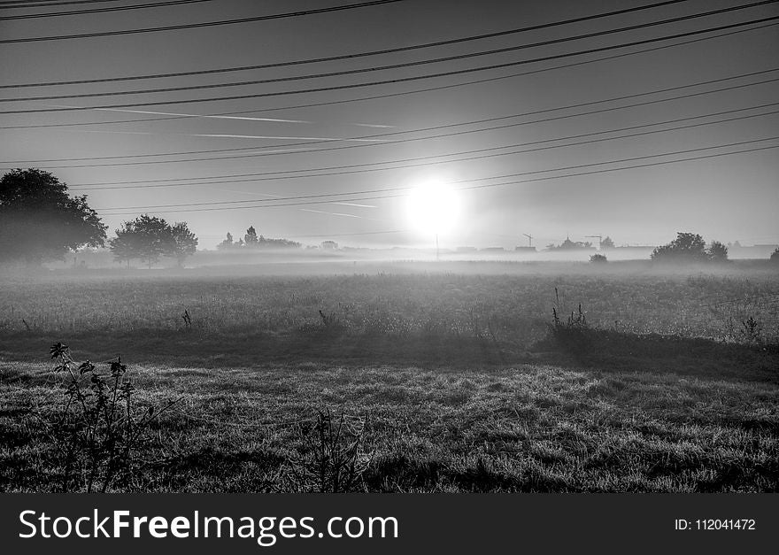 Black And White, Fog, Atmosphere, Mist