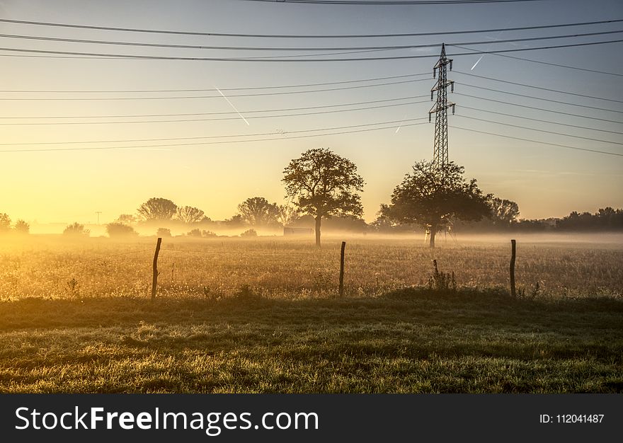 Morning, Field, Sky, Tree