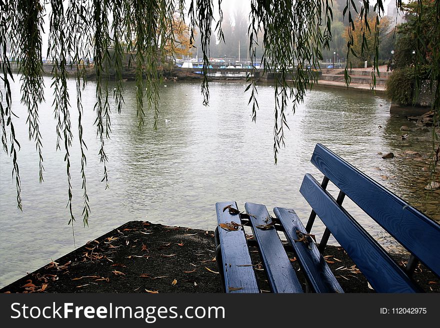 Water, Waterway, Body Of Water, Bayou