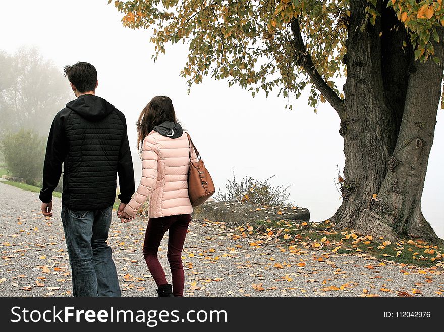 Photograph, Tree, Walking, Girl