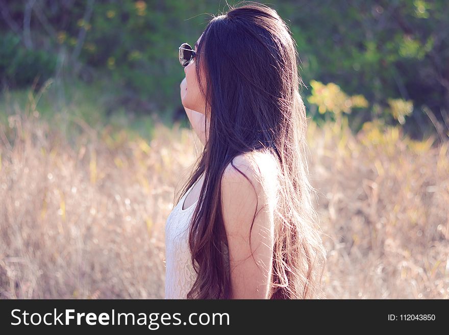 Hair, Girl, Beauty, Human Hair Color