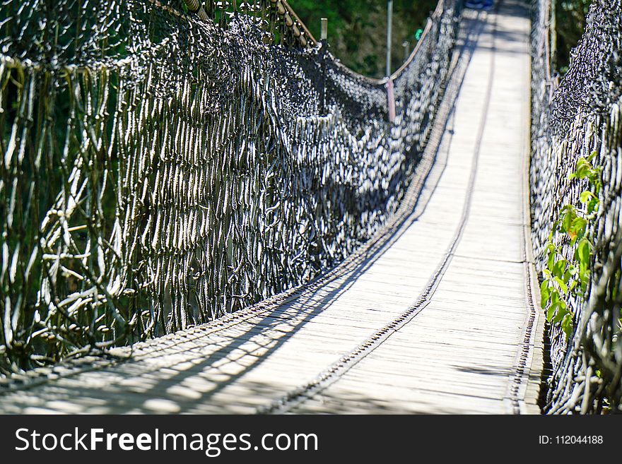 Path, Tree, Inca Rope Bridge, Suspension Bridge