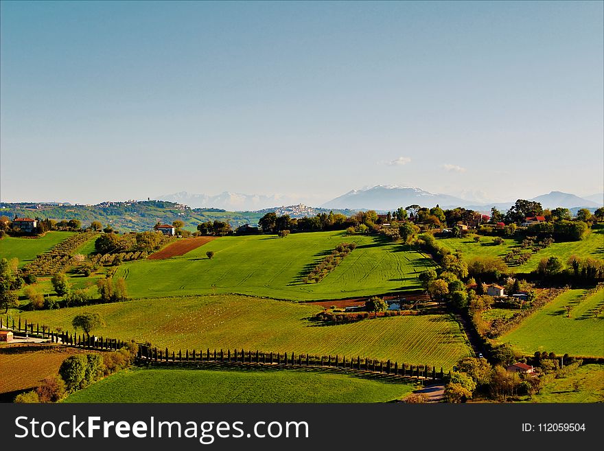 Nature, Field, Sky, Grassland