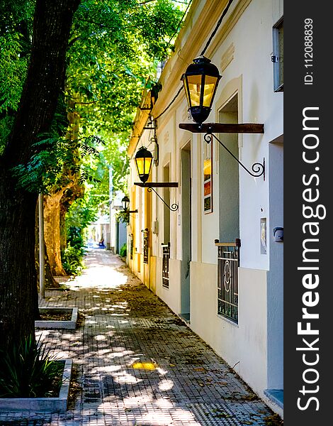 Cobbled Street During Sunset, Trees Full Of Flowers