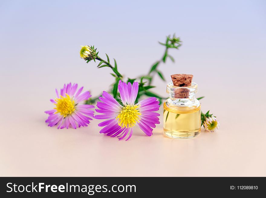 Purple Petal Flowers With Clear Glass Bottle With Cork in White Background