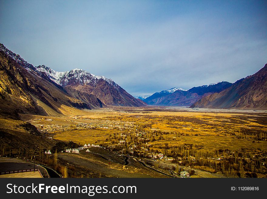 Brown Leaf Plant Near Mountain Under White Clouds At Daytime