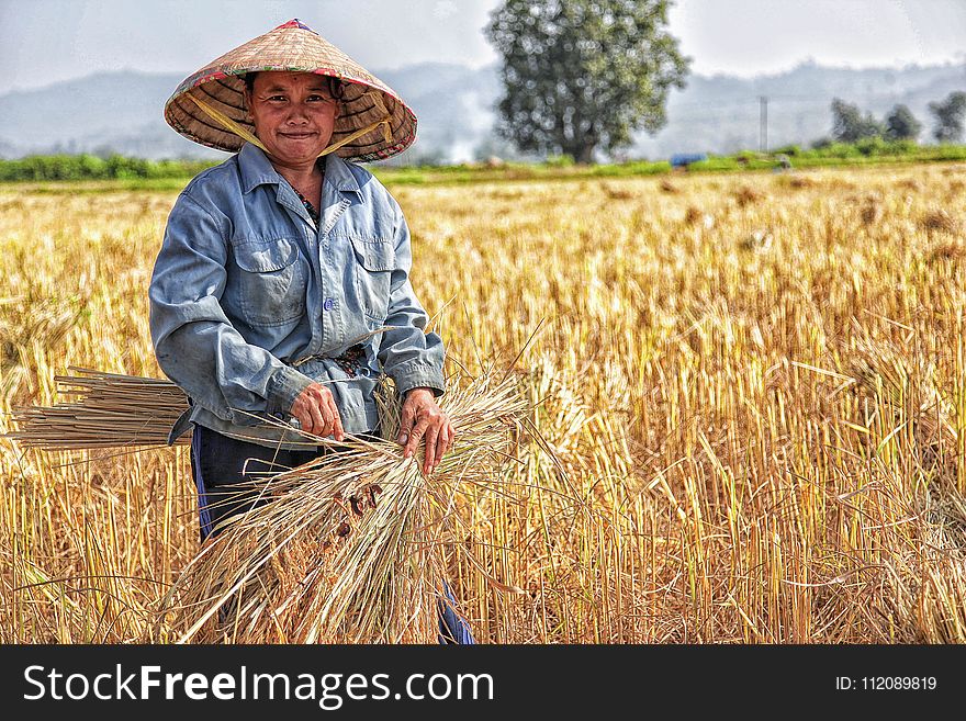 Woman Picking Plant on Field