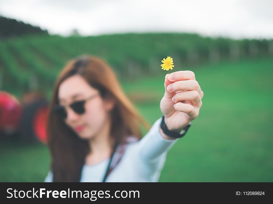 Woman Holding Yellow Petaled Flower