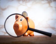 Piggy Bank Looking Throw Magnifying Glass Stock Images