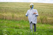 Scarecrow In Man`s Clothes In Field Stock Images