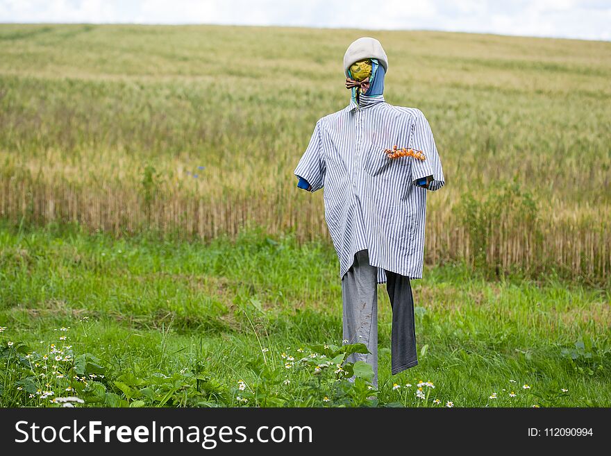 Scarecrow in man`s shirt and pants on countryside over rye field. Scarecrow in man`s shirt and pants on countryside over rye field