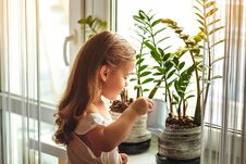 Little Girl Watering And Caring For House Plants Royalty Free Stock Images
