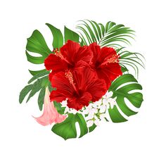 Bouquet With Tropical Flowers Floral Arrangement, With Beautiful Red Hibiscus, Palm,philodendron And Brugmansia Vintage Vector I Royalty Free Stock Photo