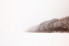 Belarus, Grodno, Snowy Fairy Forest Around Molochnoe Lake. Stock Photography