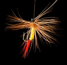 Fly To Catch Fish On A Black Background Stock Photos