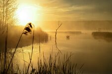 Morning Mist On The Lake In The Sun Stock Photos Morning Mist On The Lake In The Sun Stock Photos