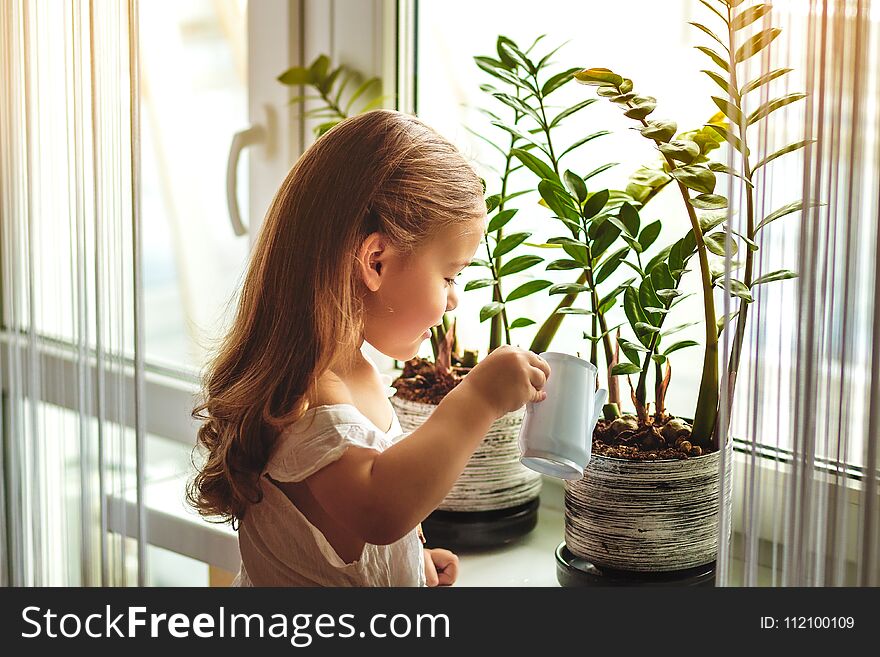 Little cute girl watering and caring for house plants in wite dress. Little cute girl watering and caring for house plants in wite dress