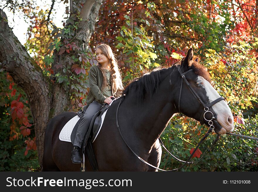 Therapy With Horses - Hippo Therapy