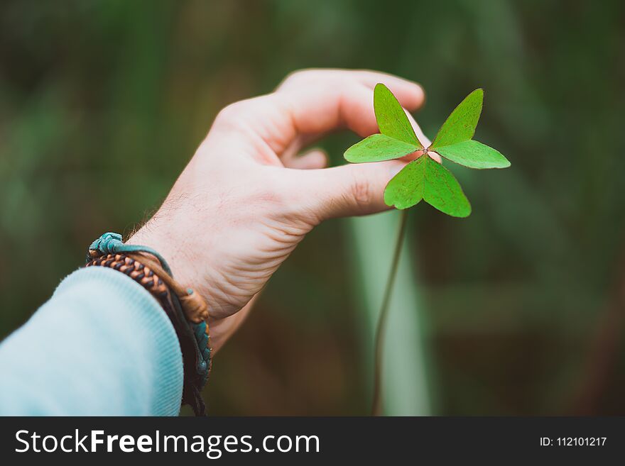 Man hand holding an exotic green clover leave. Green blurred background.