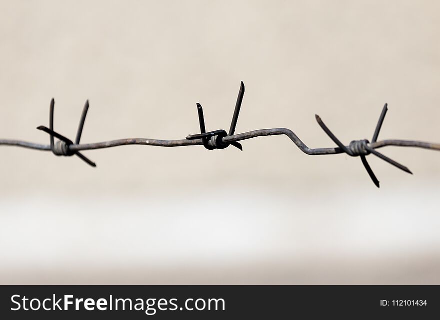 Barbed wire outdoors as a background . In the park in nature