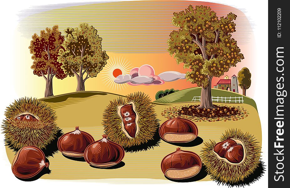 Some urchins of chestnuts in a chestnut on background of agricultural landscape. Some urchins of chestnuts in a chestnut on background of agricultural landscape..