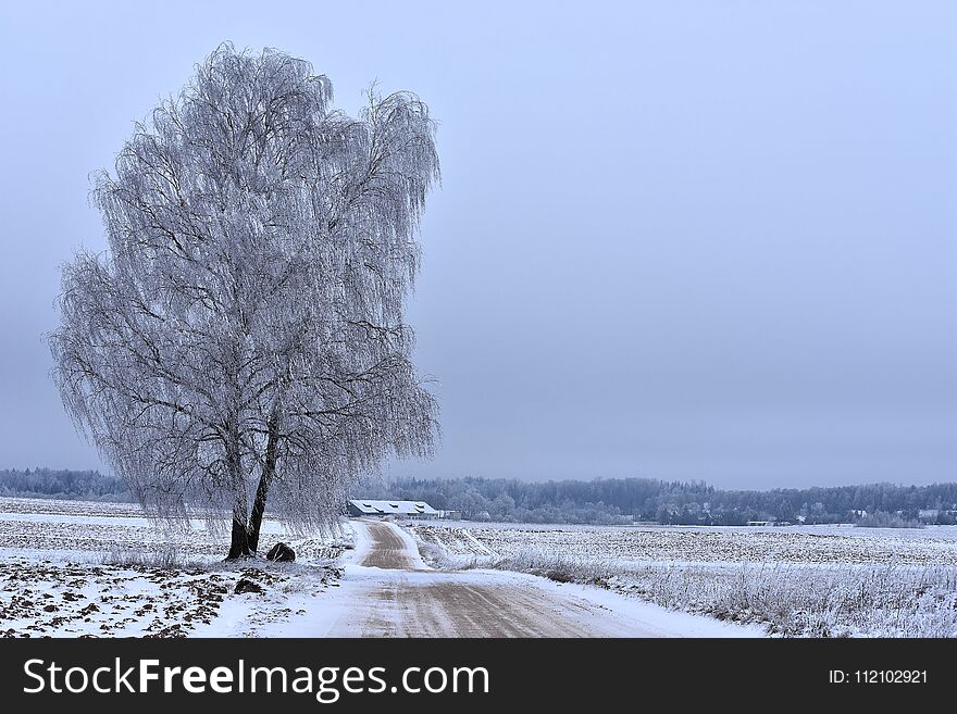 Winter landscape. Misty ,cold day in Lithuania. Rural scene. Winter landscape. Misty ,cold day in Lithuania. Rural scene.