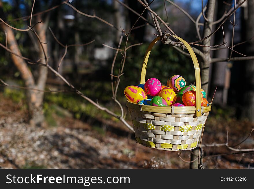 Easter basket with eggs hang on the branch of tree