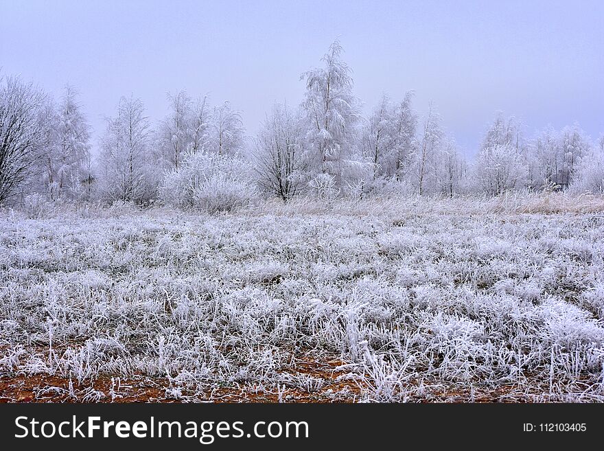 Winter In Lithuania .Rural Landscape