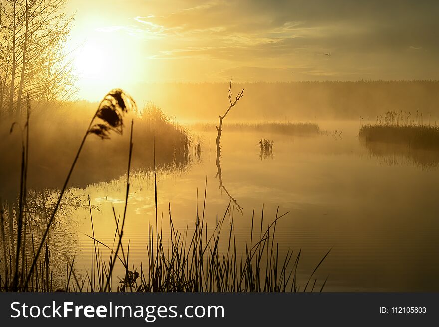 Morning Mist On The Lake In The Sun