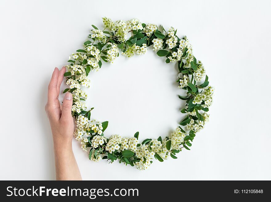 Woman hand holding beautiful white flowering Spirea arguta brides plant wreath on white table. Flat lay, top view, space for text. Romantic DIY composition. Woman hand holding beautiful white flowering Spirea arguta brides plant wreath on white table. Flat lay, top view, space for text. Romantic DIY composition