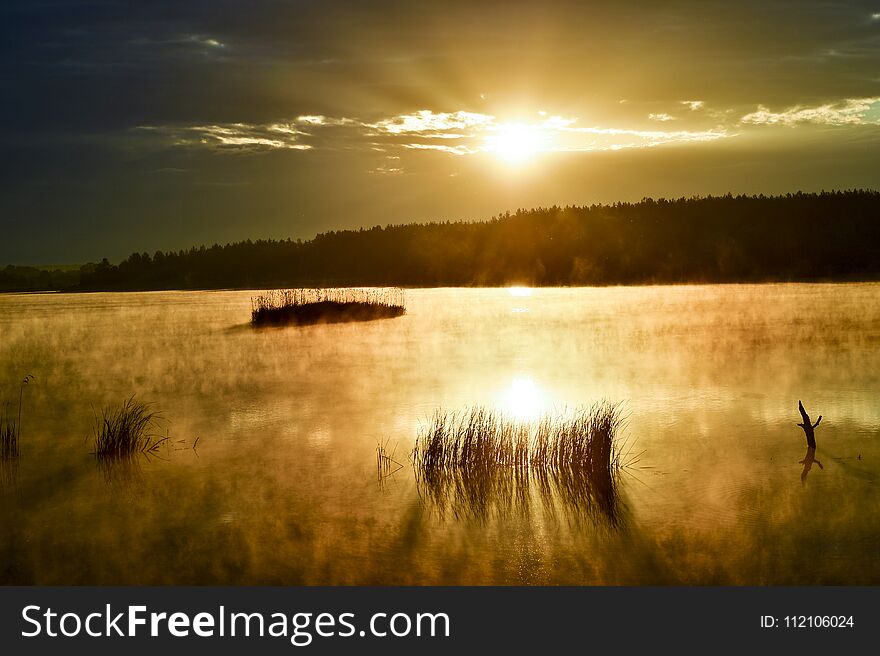 Morning mist on the lake in the sun.