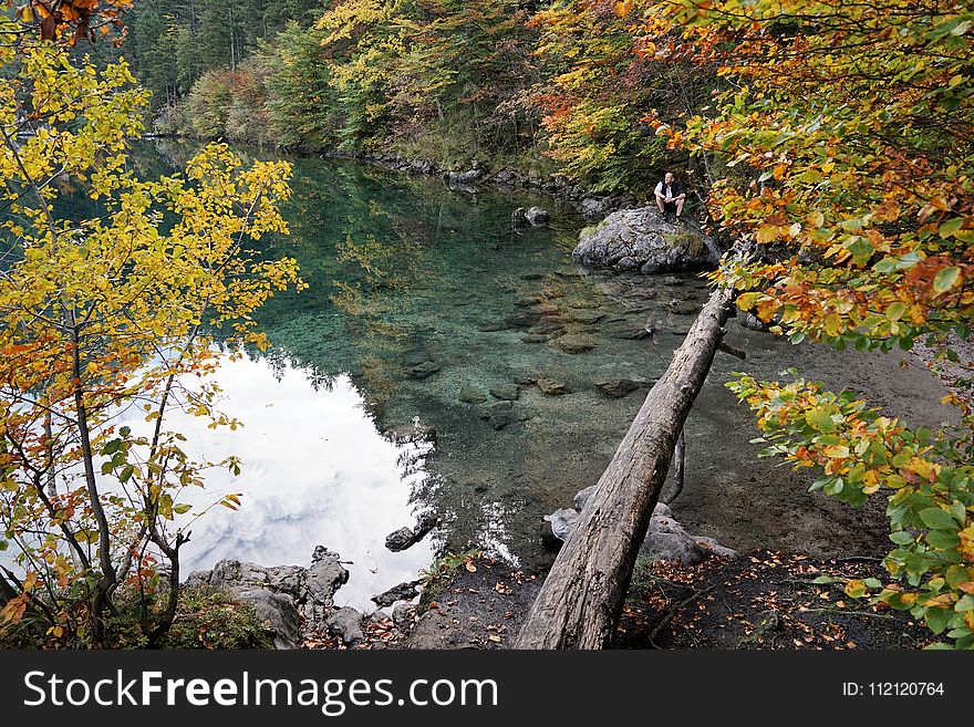 Water, Nature, Reflection, Leaf