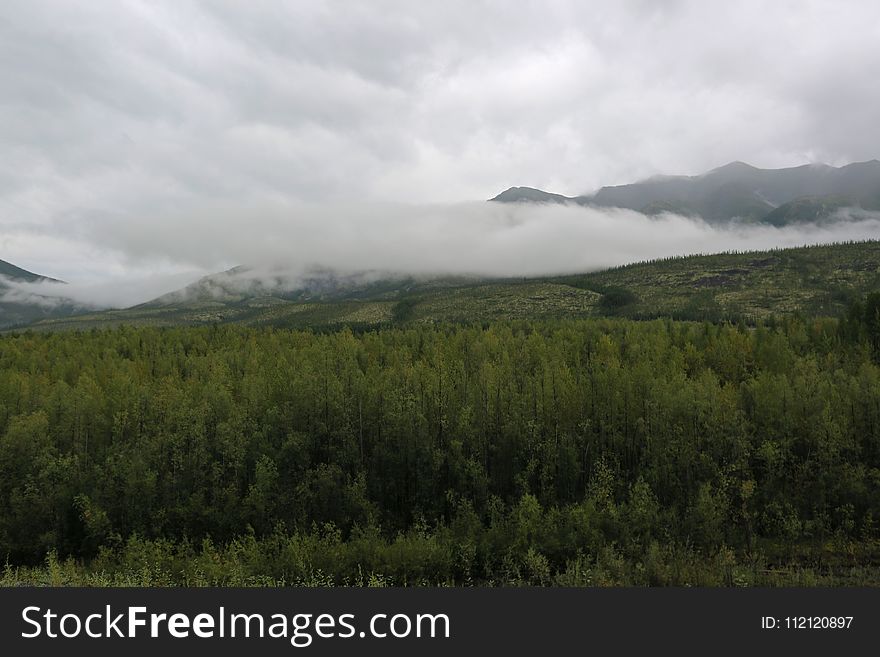 Highland, Wilderness, Ecosystem, Cloud