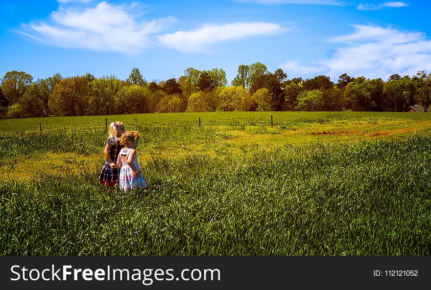 Grassland, Field, Sky, Prairie