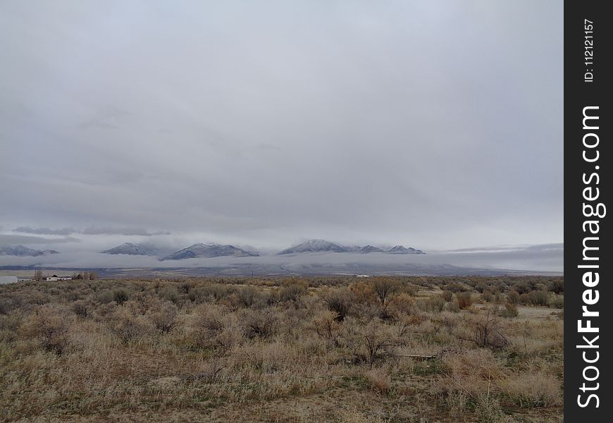 Ecosystem, Sky, Steppe, Highland