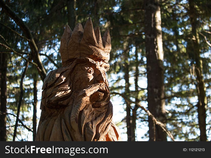 Tree, Woody Plant, Statue, Sculpture