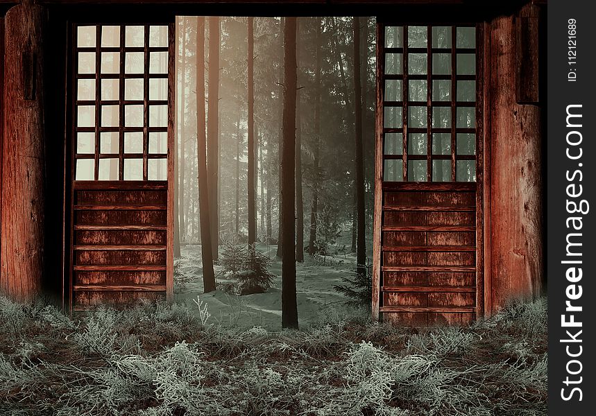 Wall, Window, Wood, Tree